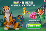 Rajah is here!