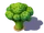 Broccoli Foliage