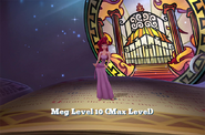 (Max Level)