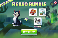 Figaro Bundle