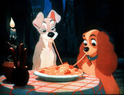 Lady and the tramp