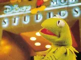 Kermit the Frog