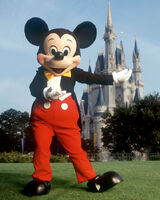 Mickey-Mouse-At-Disneyland