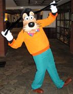 Goofy in his Goof Troop outfit