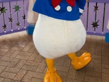 Donald Duck