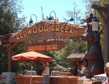 Redwood-Creek-Challenge-Trail