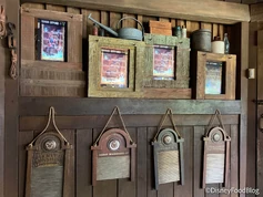 2021-wdw-magic-kingdom-splash-mountain-scan-for-on-ride-photo-photopass-scaled