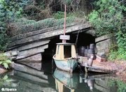 Liberty Belle 67