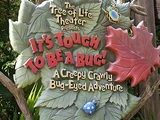 It's Tough to Be a Bug! (Disney's Animal Kingdom)