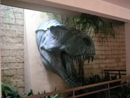 T-Rex head was only at Disney's Animal Kingdom