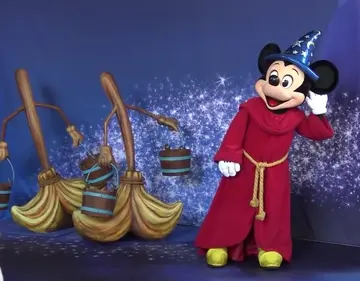 Magic Brooms | Disney Parks Wiki | Fandom