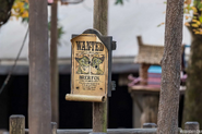 Splash-mountain-queue-brer-fox-1.jpg