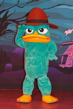 Exploring Perry the Platypus at Disney California Adventure
