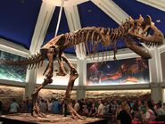 Dino-inside-Dinosaur-queue-Disney-Animal-Kingdom