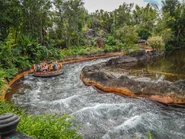 Kali2-judd.jpg (537 KB)