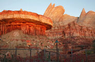 Radiator Springs Racer 05