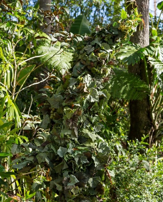 5 Broken Effects Inside Dinosaur at Disney's Animal Kingdom - Parkeology