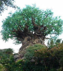 Tree of Life