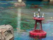 Seagulls Disneyland.webp (92 KB)