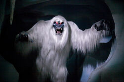 Yeti