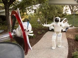 ASIMO & Bird