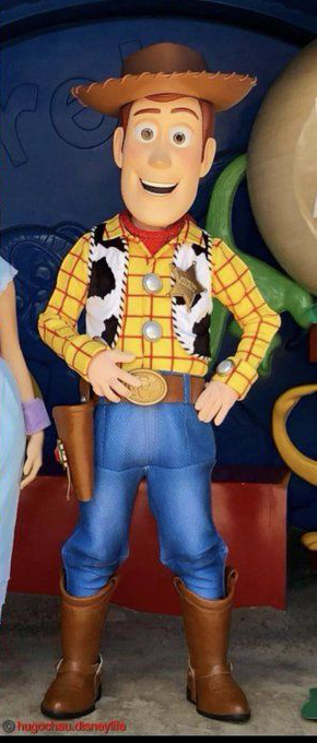 Woody, New Toy Story Wiki