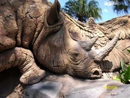 Rhinoceros