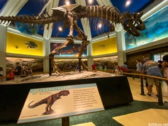 WDW-2020-Animal-Kingdom-Dinosaur-Ride-5