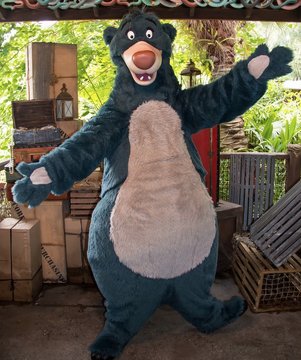 Baloo the bear costume top