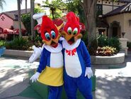 Woody and Winnie Woodpecker