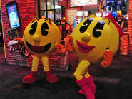 Pac-Man & Ms. Pac-Man