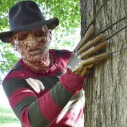 Freddy Krueger