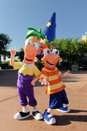 Phineas Flynn and Ferb Fletcher