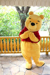 Winnie-the-Pooh