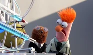 Muppets Now Stills 03.jpeg (331 KB)