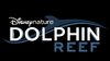 Dolphin Reef