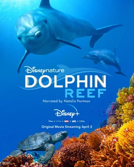 Dolphin Reef Poster