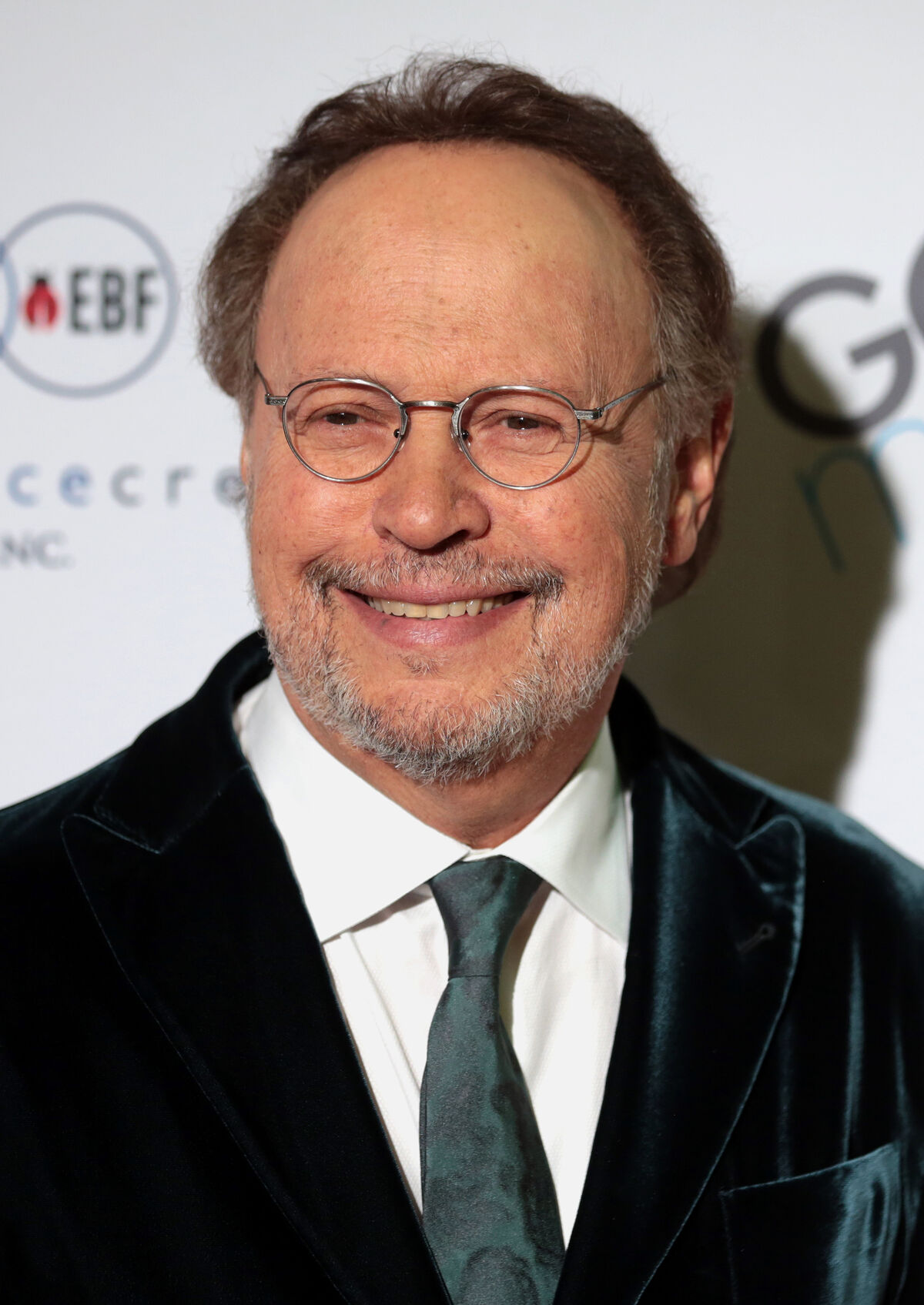 Billy Crystal Disney+ Wiki Fandom