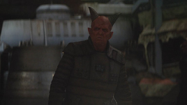 Mercenary Devaronian Burg