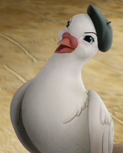 Director-Dove