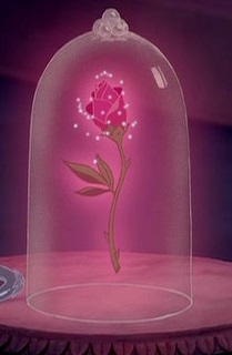 A Rosa Encantada | Wiki Disney Princesas | Fandom