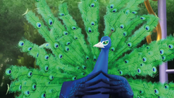 Scrambled-Pets-1.png
