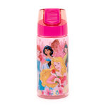 Disney princess water bottle