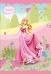 087c5299eed6fc02d8c9a6fe1aa5153d--disney-princess-aurora-disney-princesses