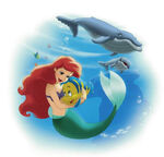 Ariel, Flounder and the whales