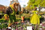 Belle and Beast Topiary