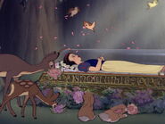 Snow-white-disneyscreencaps.com-9279