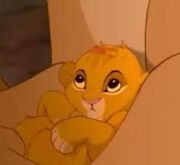 Images simba.jpeg