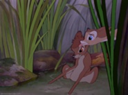 Bambi-disneyscreencaps.com-2841