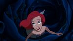 The-Little-Mermaid-Diamond-Edition-Blu-Ray-disney-princess-35376908-5000-2833